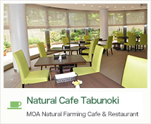 Natural Cafe Tabunoki