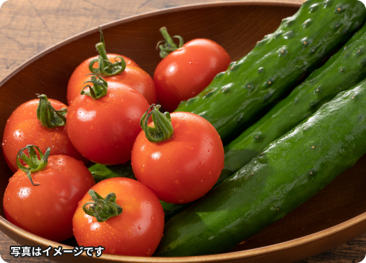 イメージ画像