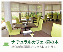 ナチュラルカフェ 椨の木 MOA自然農法カフェ&レストラン
